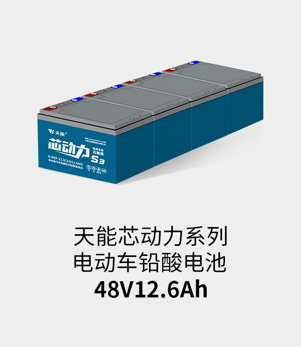 1�����̵�:PG�������Ϸ�������48v12ah