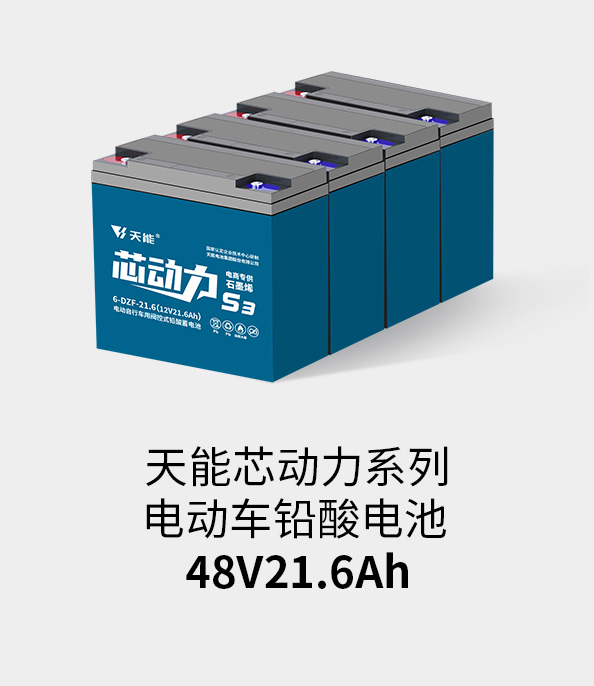 1�����̵�:PG�������Ϸ�������48v20ah
