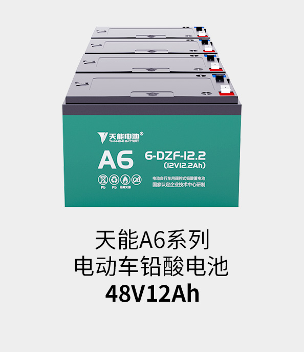 1�����̵�:PG�������Ϸ�������48v12ah