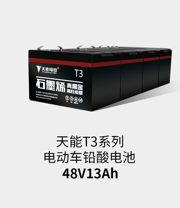 1�����̵�:PG�������Ϸ����T3ϵ��48v13ah