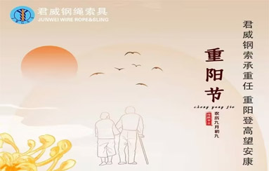 bevictor伟德钢索